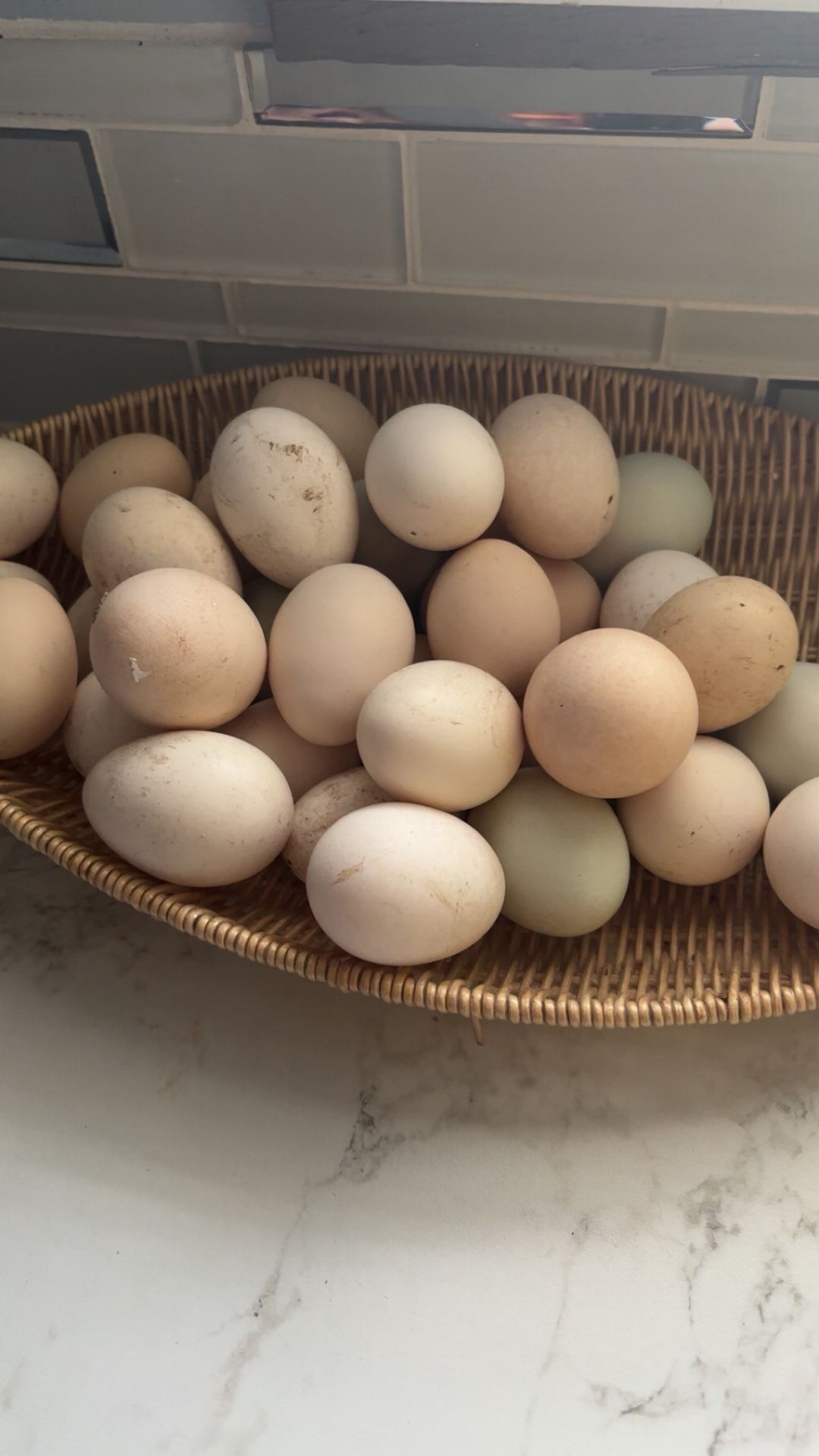 Eggs