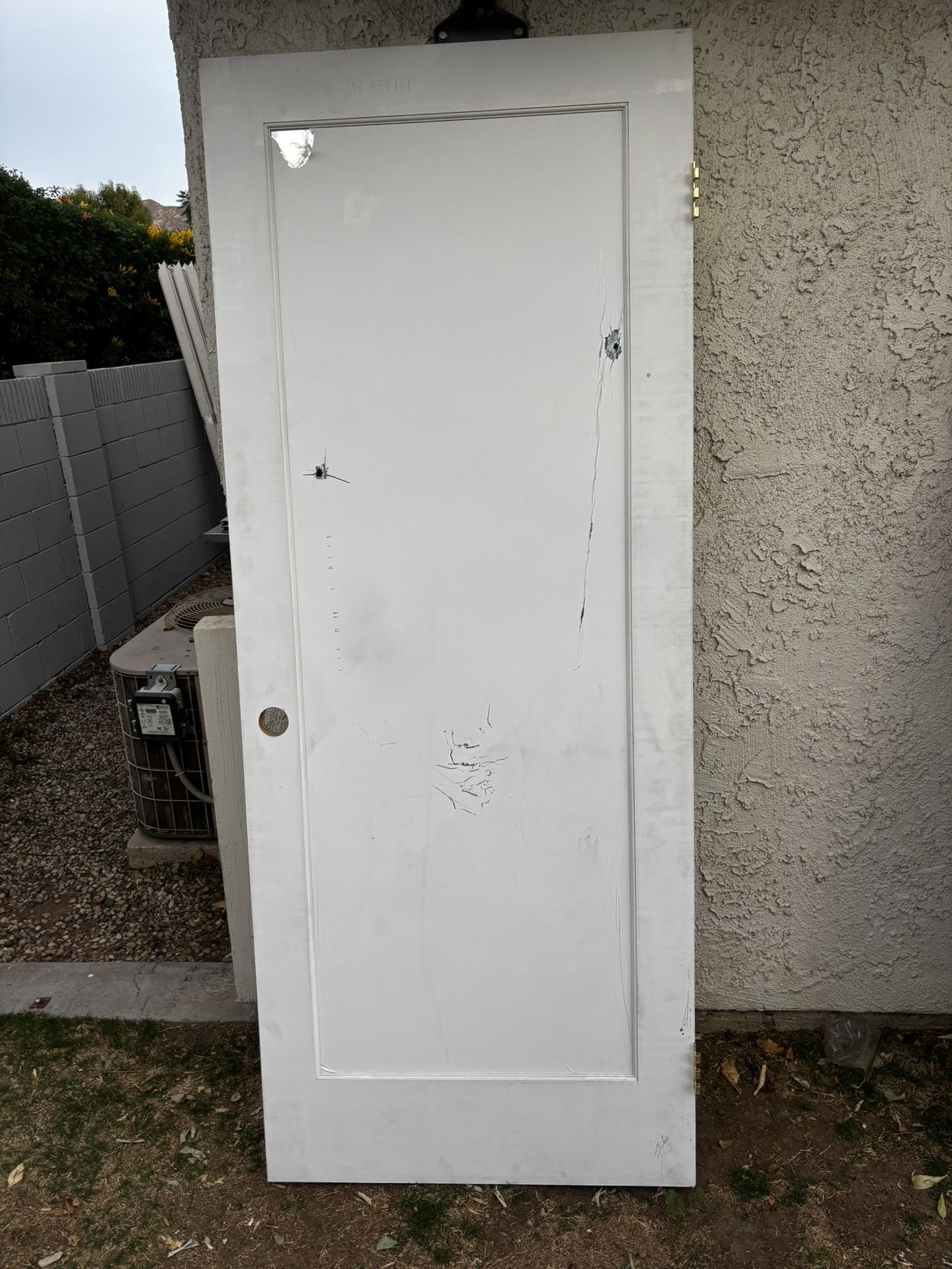 Interior Mirror Door/Puerta Interior De Espejo