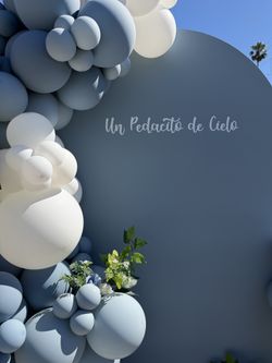 Babyshower, balloons, gender reveal, party, dessert cart, Candy cart