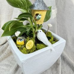 White Bird Arrangement With Easy Care Plant 