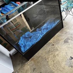 Office Cases