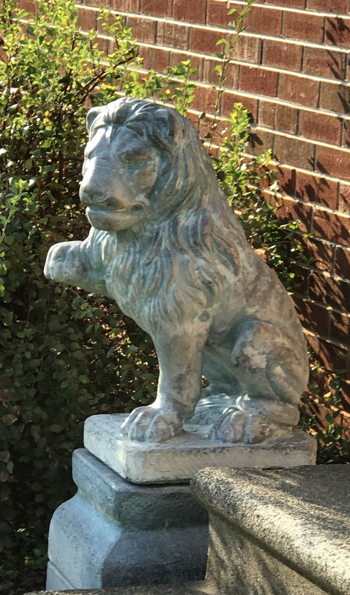 Lion Statues - Approx 36” (including Base)