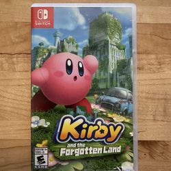 Nintendo Switch Game