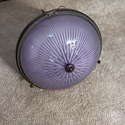1904 Vintage Purple Holophane Ceiling Light 