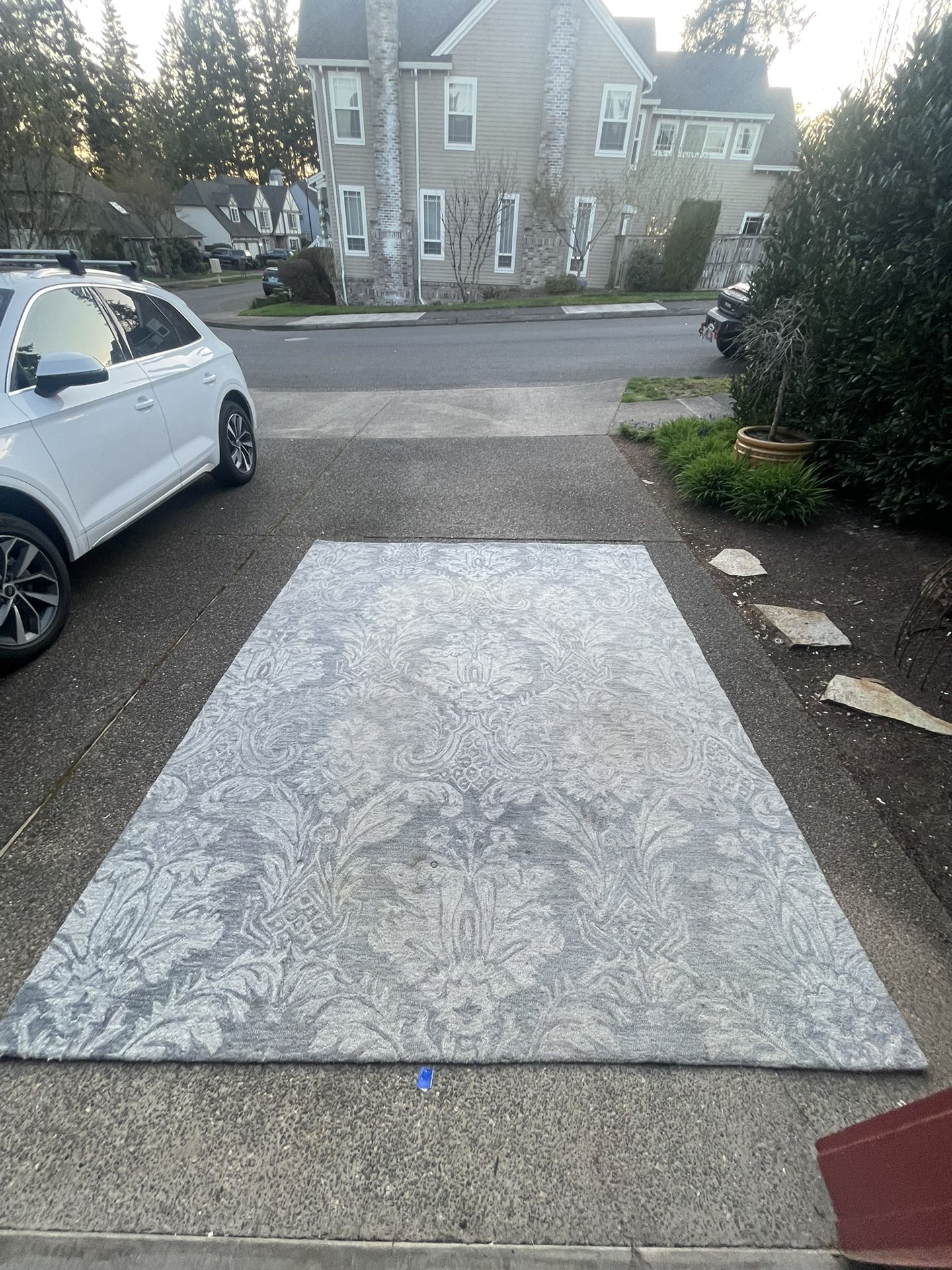 Large 8x10 Rug
