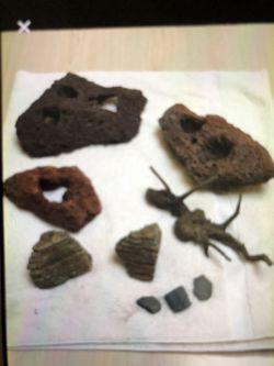 Fish tank Coral and accessories