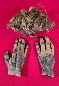 Werewolf Halloween Childs Costume Gloves and Wig