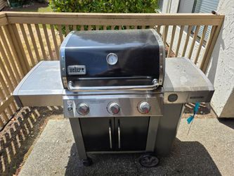 Free Weber Grill