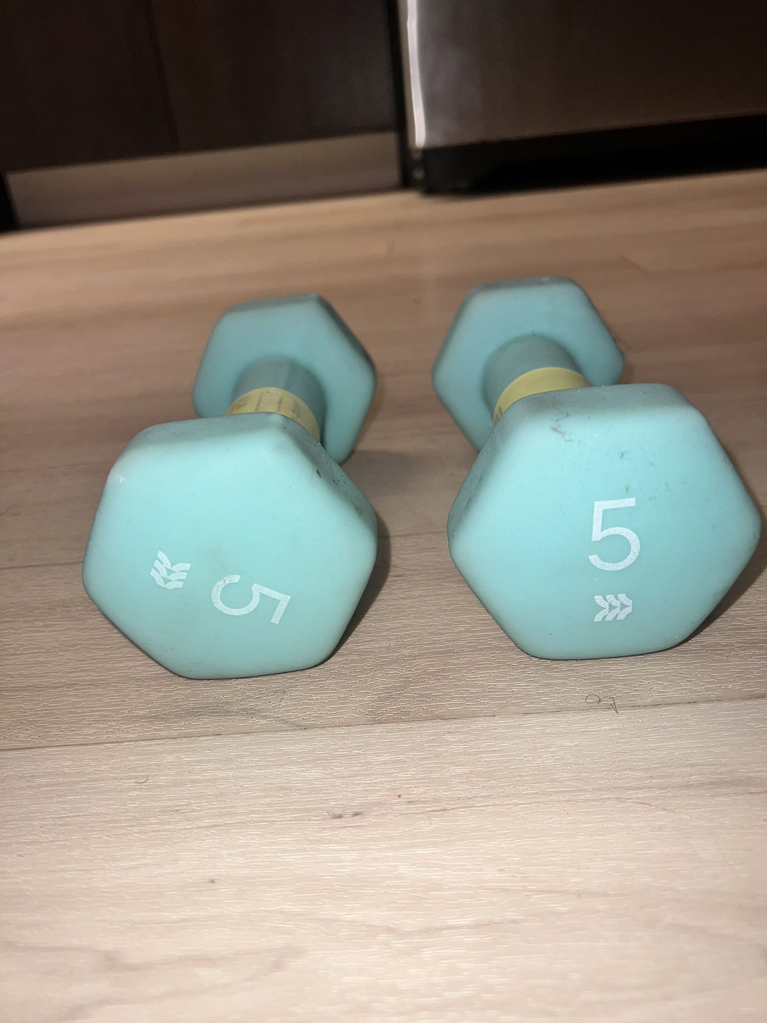 5 Lb Weights And Push-up Bar