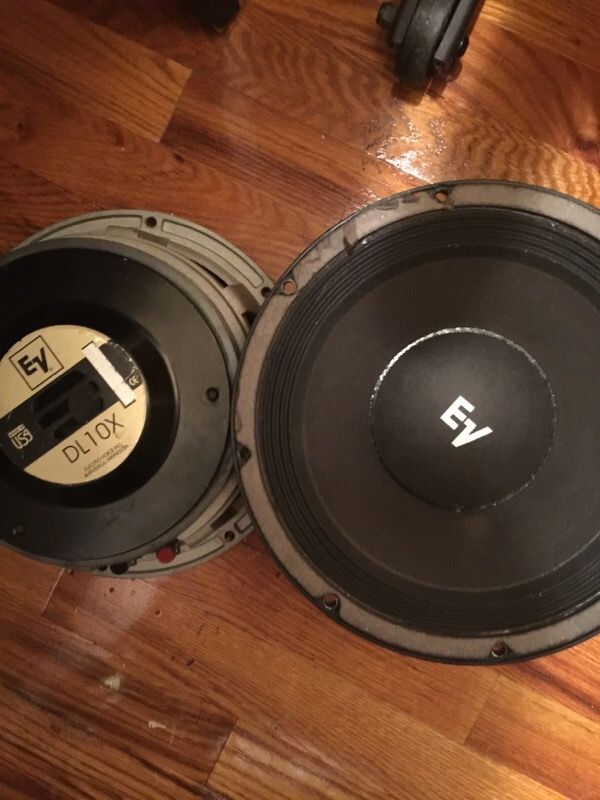 EV dl10x gold label 10 inche