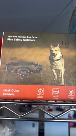 Wireless dog fence