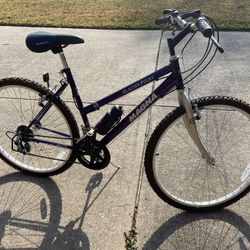  25” Bicycle Road Bike