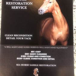 Horse Saddle Cleaning 