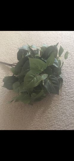 Bunch of Blank leaves, Name card leaves for wedding, Arts & craft leaves