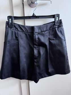 Zara Satin Short 