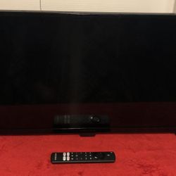 Insignia NS-DF310NA21 LED 24” TV/Monitor Used For Only A Month! 