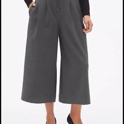 NWTS***GAP Gray High Rise Wide-Leg Pants With O-Ring Zip Size 0