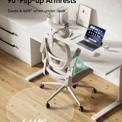 HBADA P1 Ergonomic/Gaming Chair