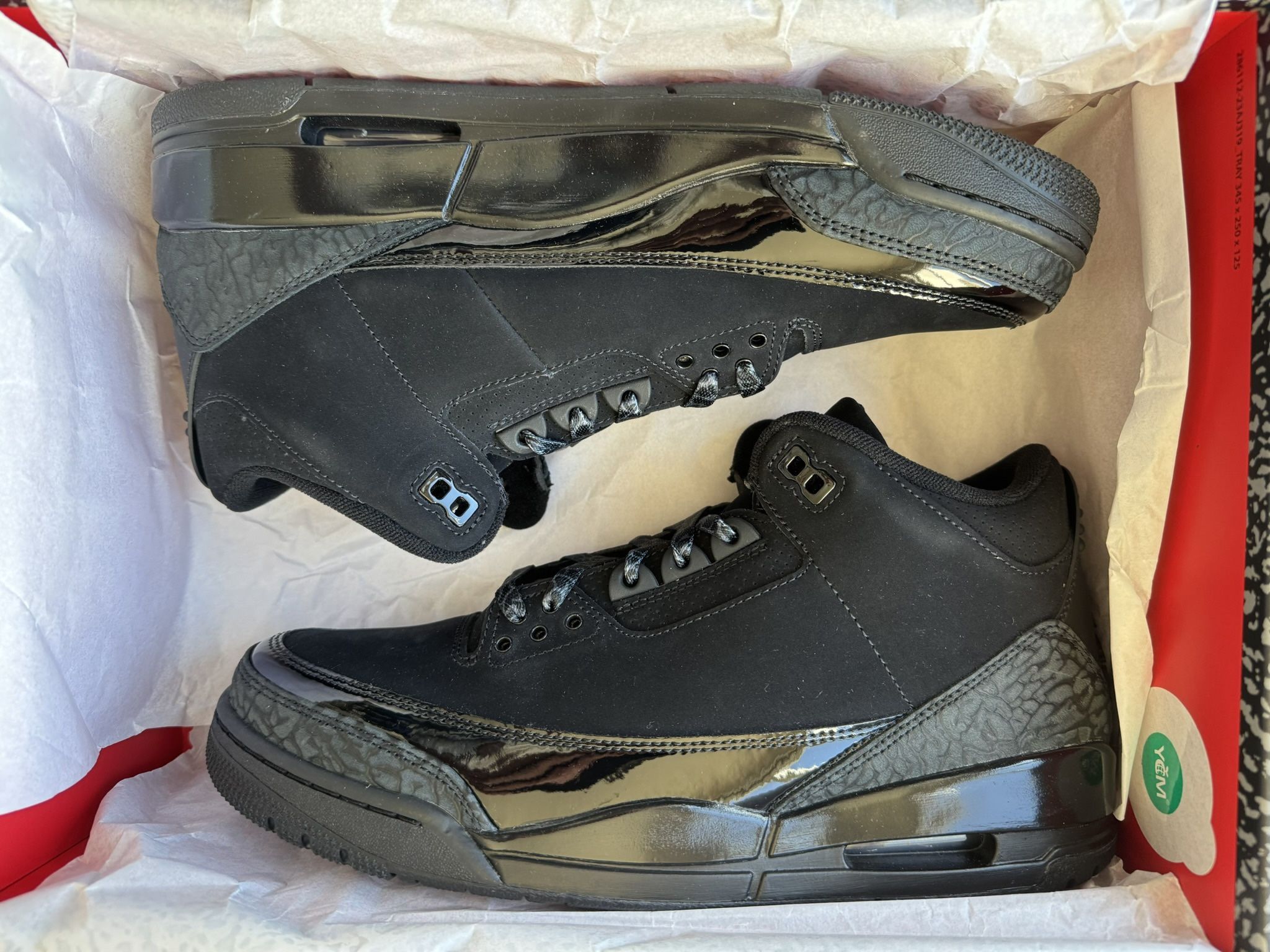 Jordan 3 Retro  "Black Cat" (2025)   SIZE: 10.5   BRAND NEW    