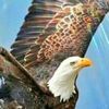 Eagle