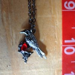 2 Necklaces One With A Raven 