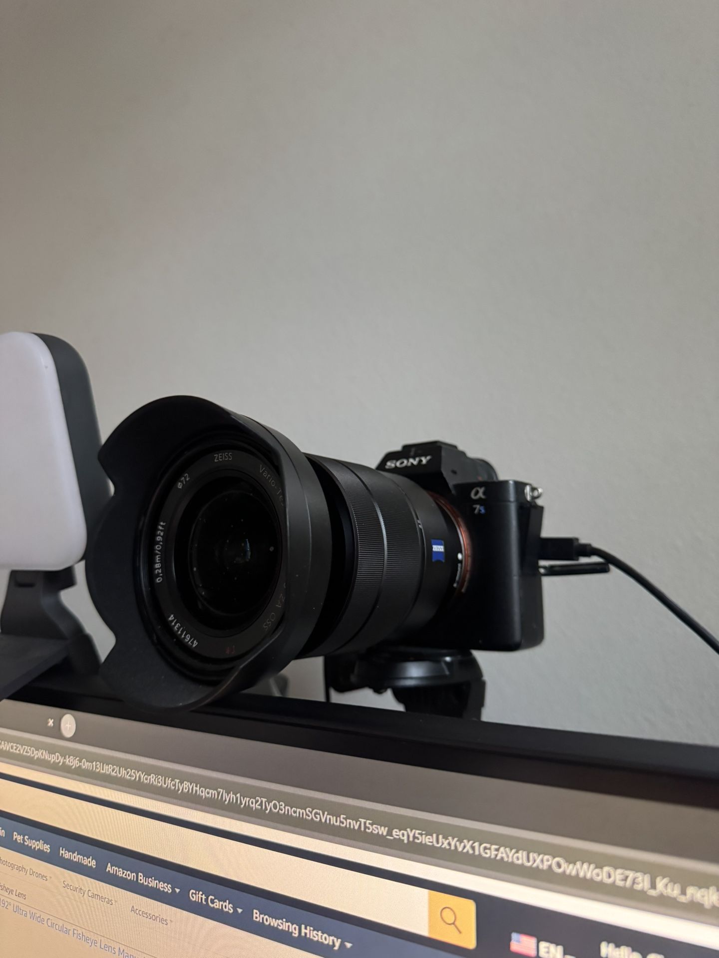 Song A7s ii With 16 35 Lense