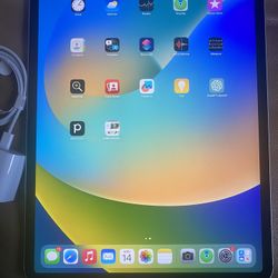 iPad Pro 12.9-inch 4th Generation 256 GB+ Cellular 