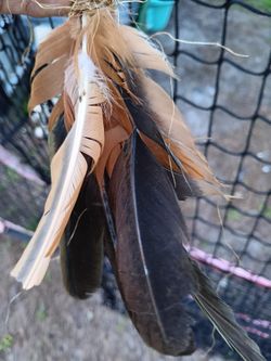 Super Effective  Entertainment 