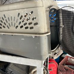 Dog Kennel 