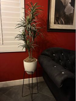Plant decor