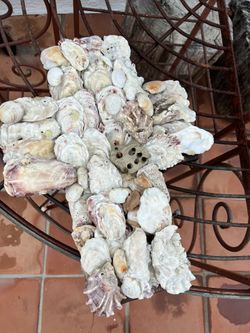 Seashell Large Cross