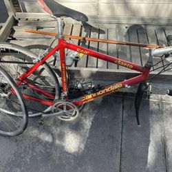 Vintage Saeco Bike 