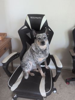 Respawn 210 gaming chair