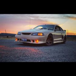 Bumpers FORD Mustang S1 FRONT BUMPER 94 95 96 97 98 1994 1995 1996 1997 1998 
Body Kit Bodykits Body Kits Bodykit Liquidation Sale 