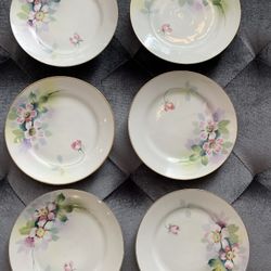 6 Hand-Painted Desert Plates