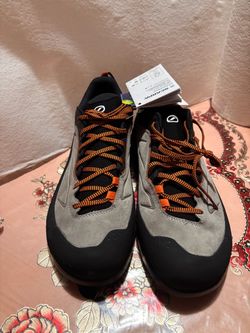 Rapid XT Men's Hiking Shoes