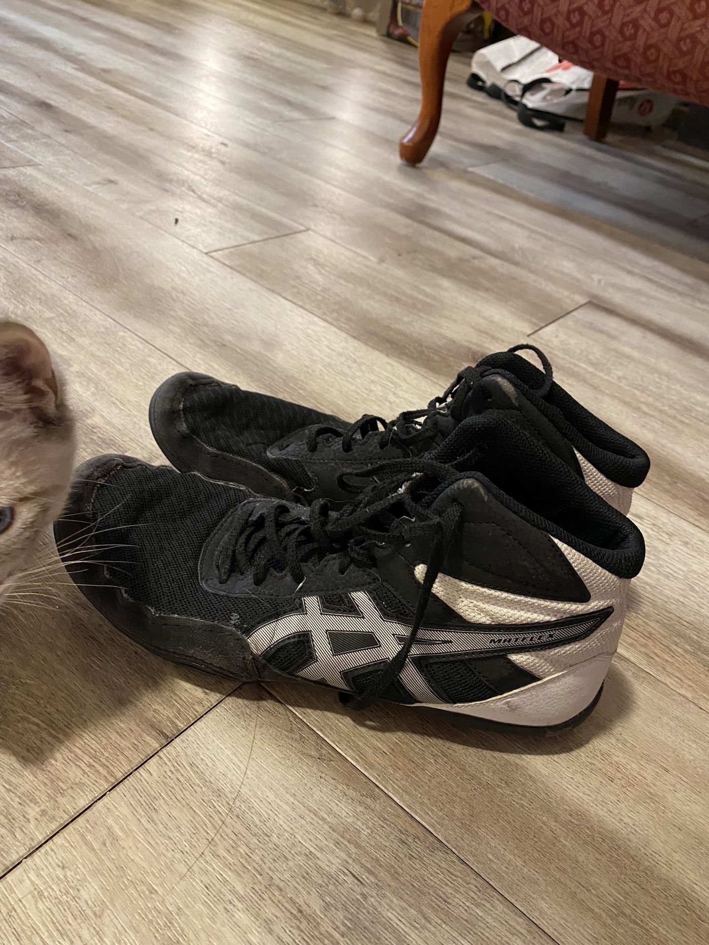 Asics Wrestling Shoes