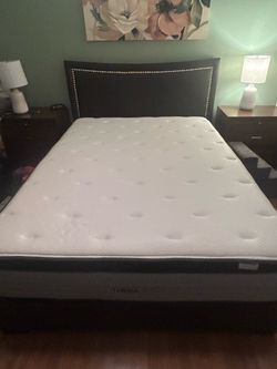 Therapedic  Hampton Park Queen Mattress