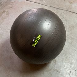 Work Out Ball 