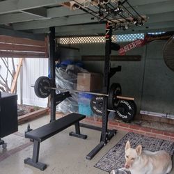 Weight Bench