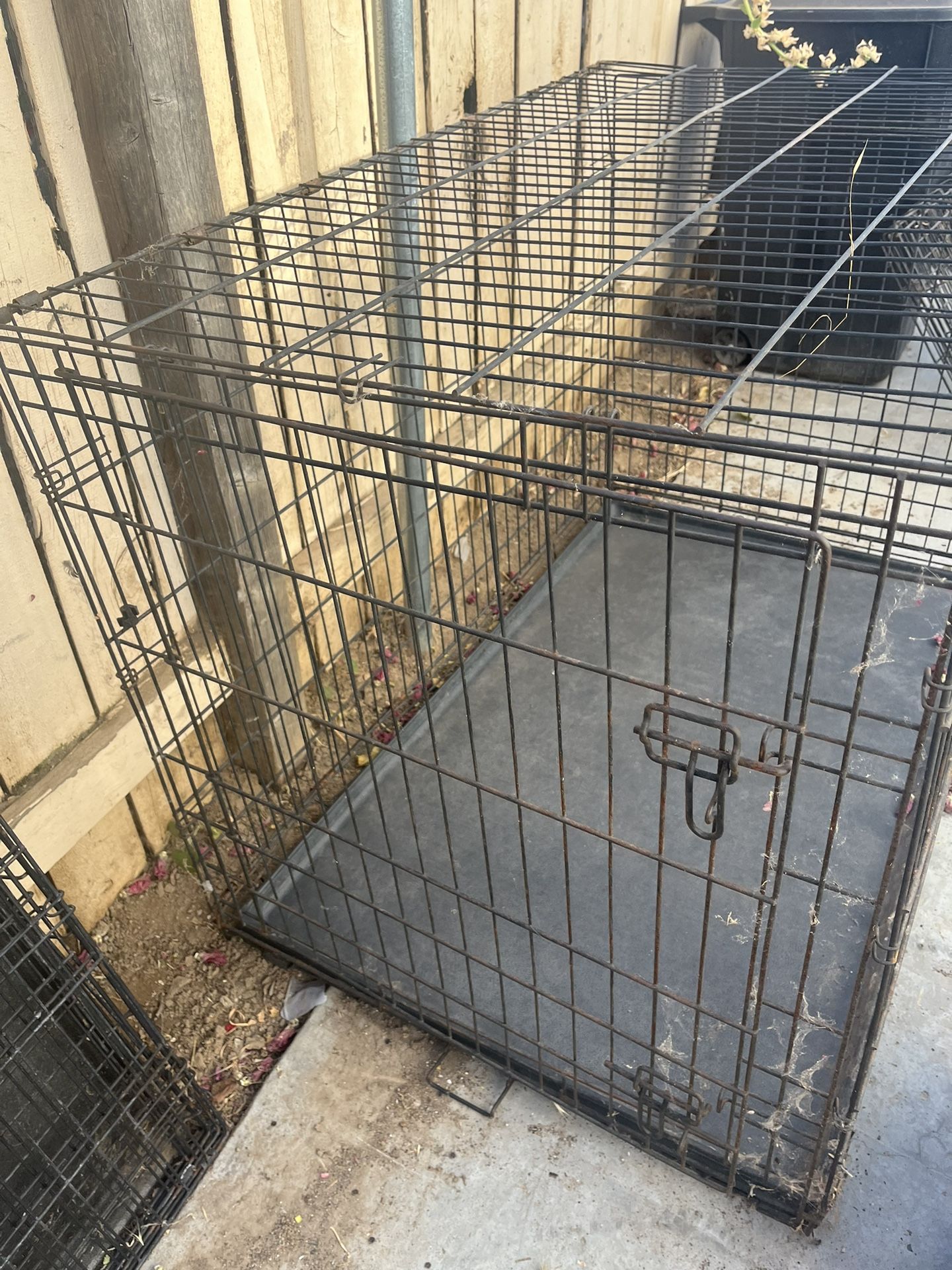 cage