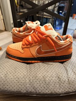 Nike Sb