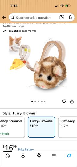 Cat toy