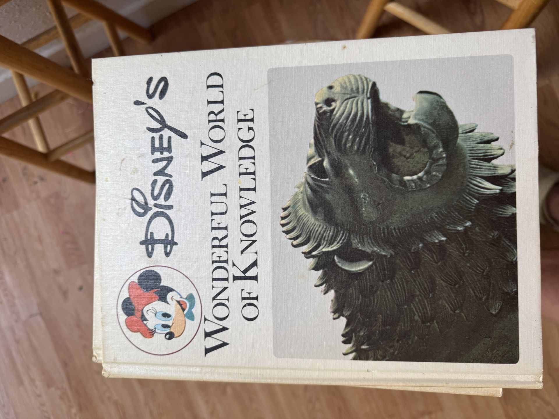 Wonderful World Of Knowledge Disney Books $450 Or Best Offer