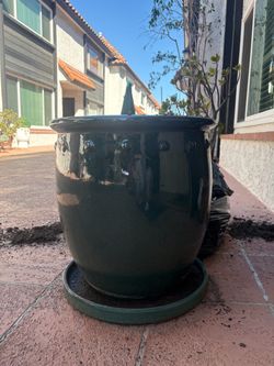 Teal planter