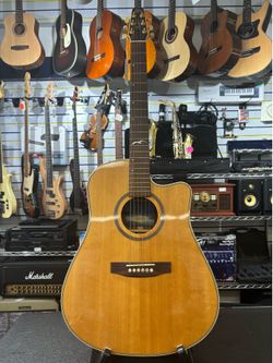 Seagull Godin artist 6 string guitar