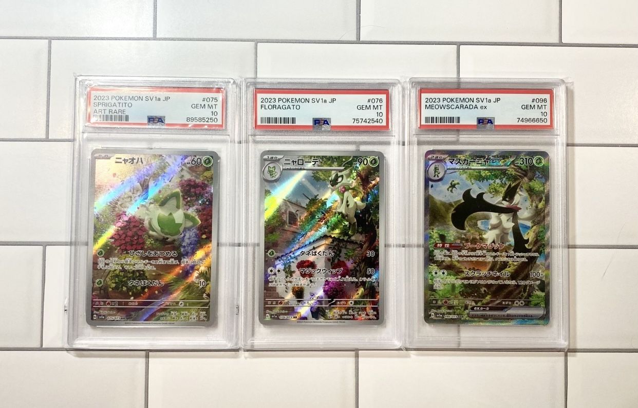 Pokémon PSA 10 Sprigatito Line