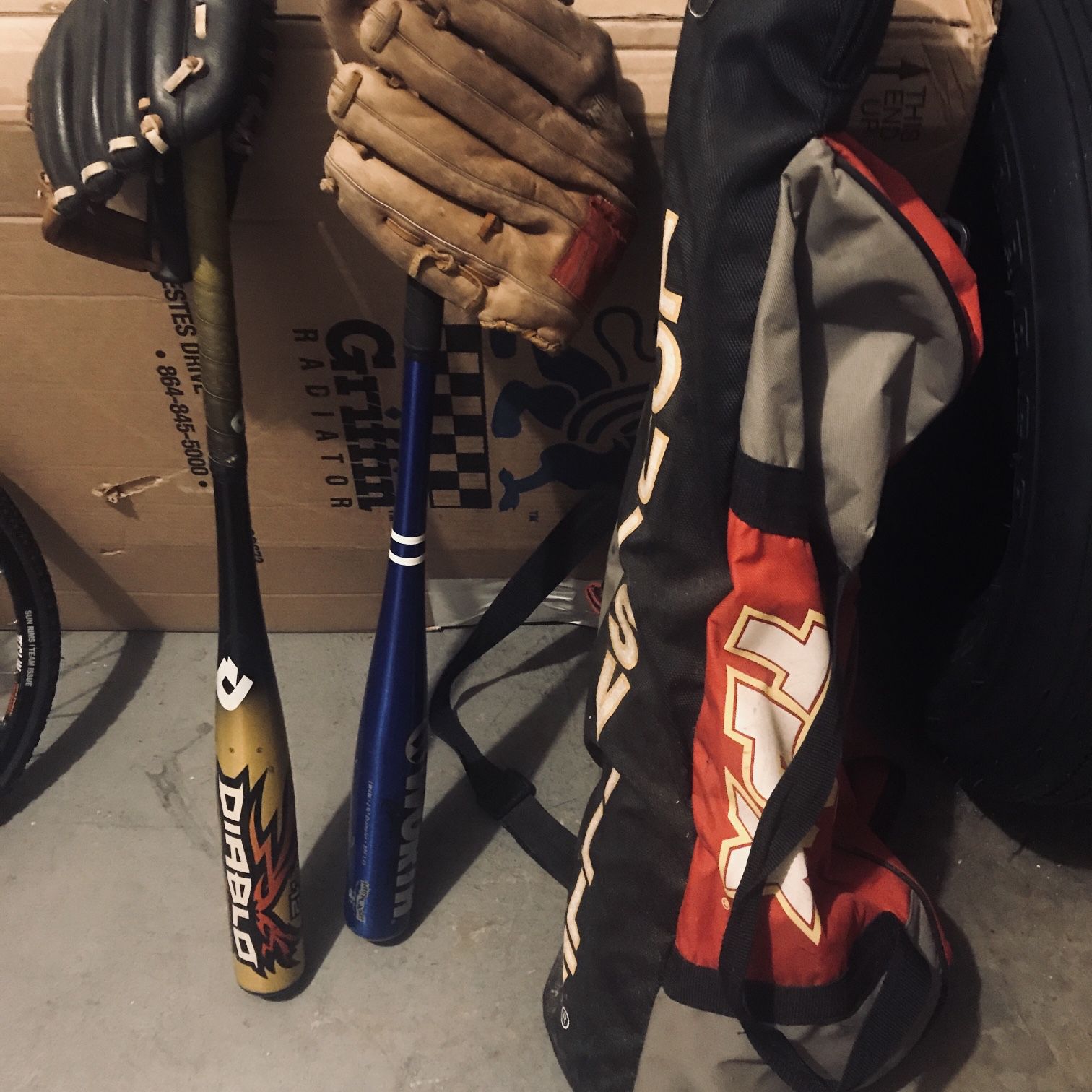 2 Baseball Bats, 2 Baseball Gloves And A Bag
