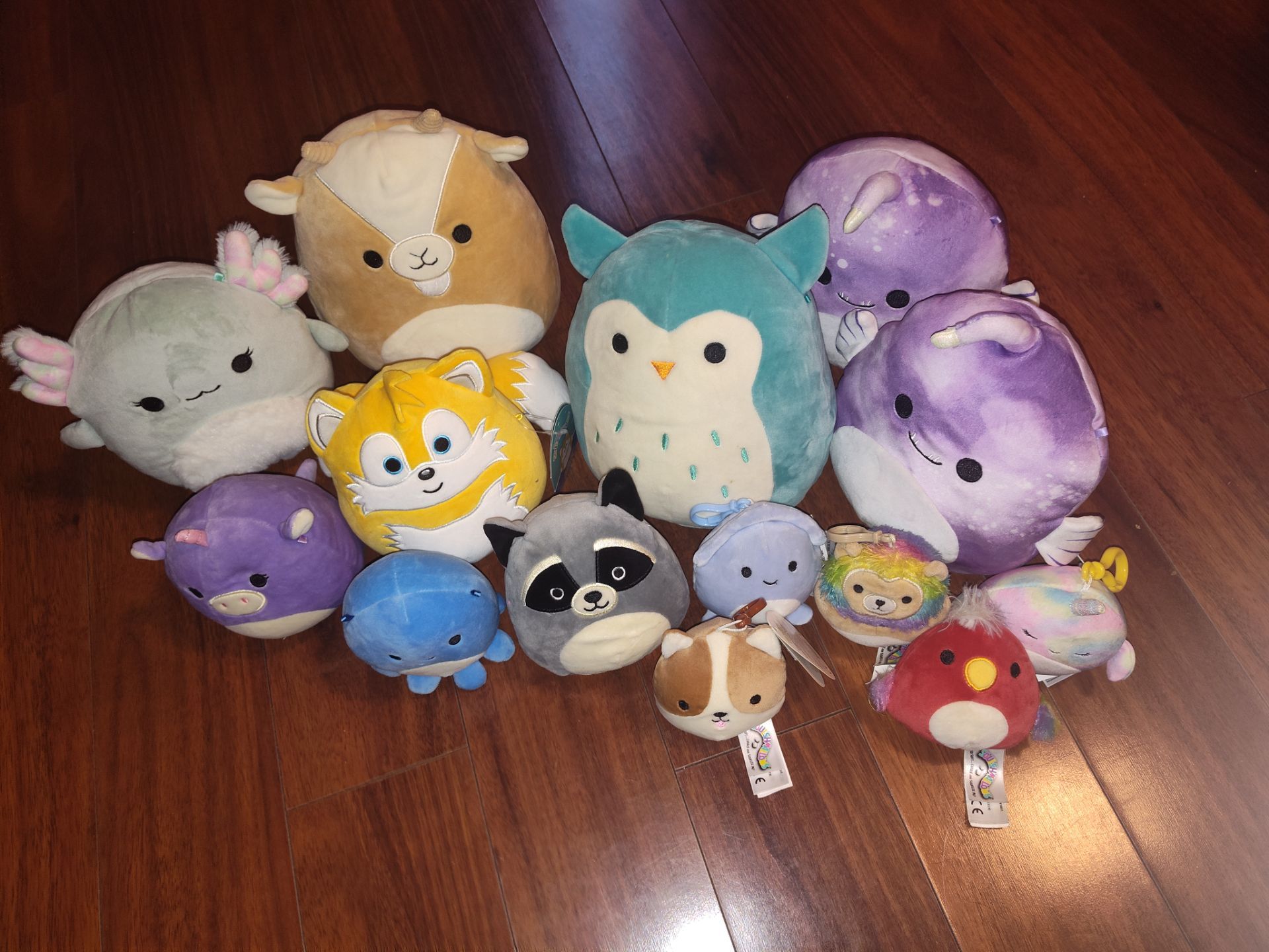 Squishmallows bundle
