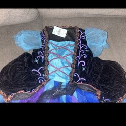 Toddler Girl Witch Costume Size 2T / 3T 